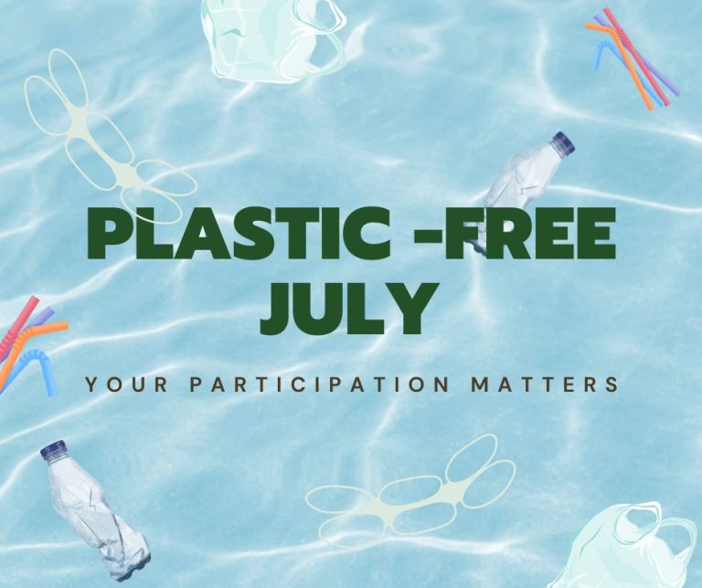 plastic free july, your participation matters